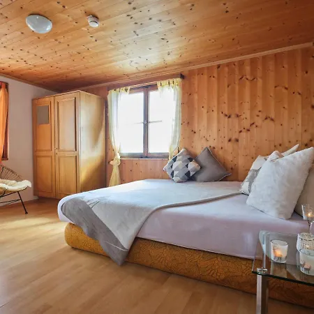 Neuhornbachhaus Apartment Schoppernau